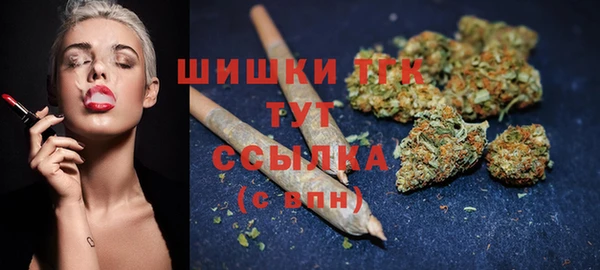 дурь Богданович